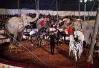 Le plus grand cirque du monde (Henry Hathaway 1964)